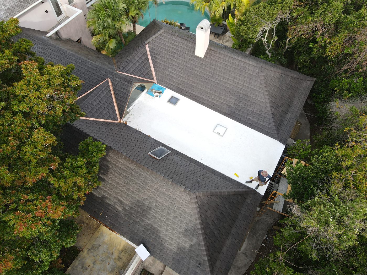Lunasea