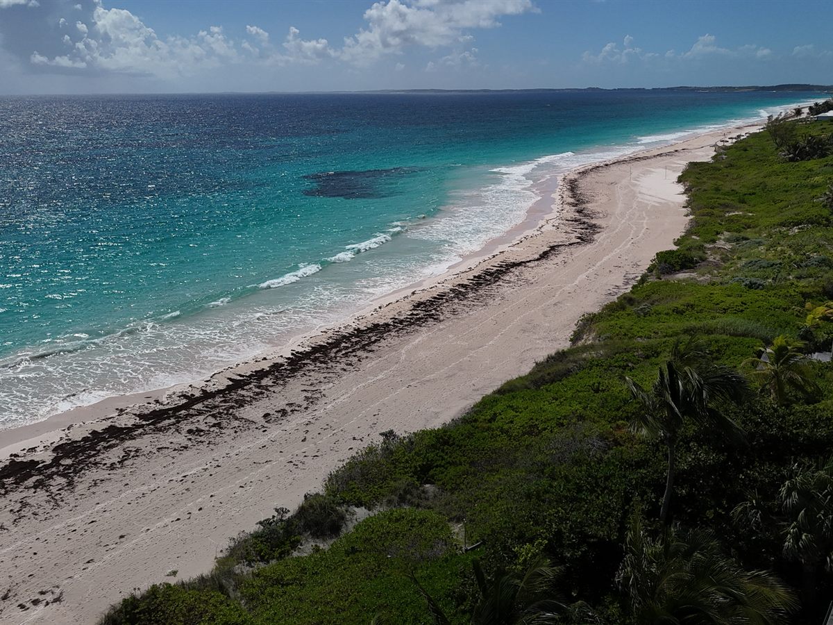 Harbour Island beach from the roof